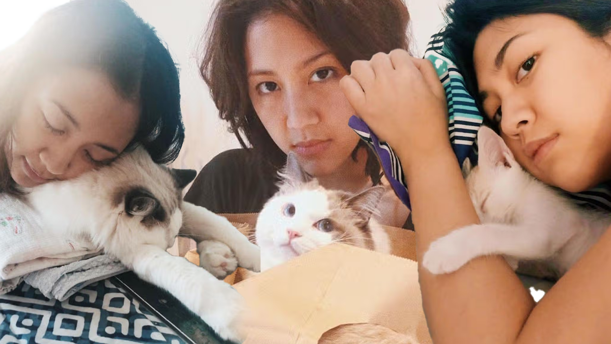 sherina munaf rescue kucing uya kuya berujung kantor polisi