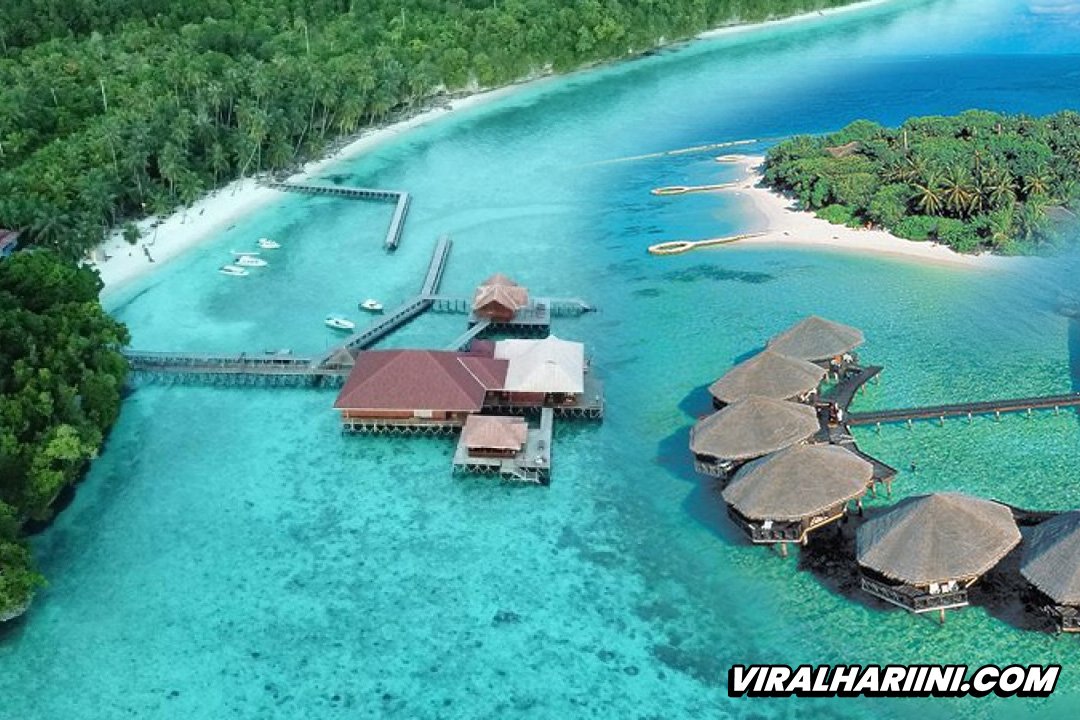 Surga Laut Pulau Derawan dengan Panorama Terumbu Karang