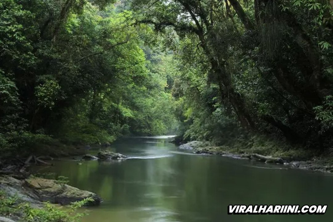 Taman Nasional Betung Kerihun, Potensi Warisan Dunia dari UNESCO