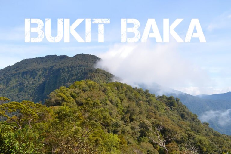 Wisata Tertinggi Di Kalimantan: Keindahan Bukit Baka Bukit Raya